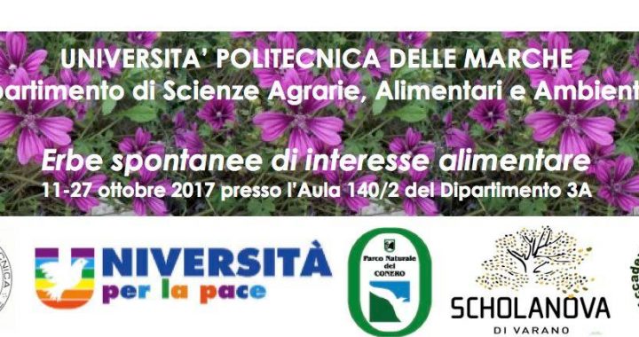 Erbe spontanee di interesse alimentare