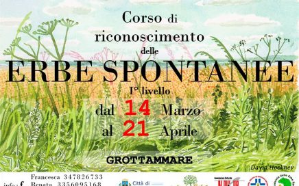 corso erbe spontanee 2018