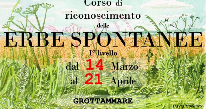 corso erbe spontanee 2018