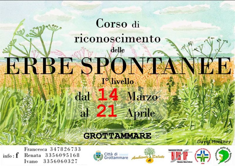 corso erbe spontanee 2018