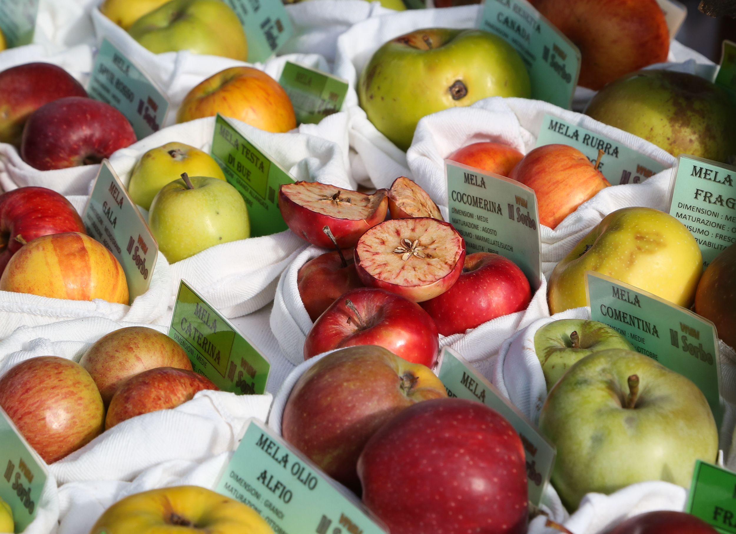 frutti antichi