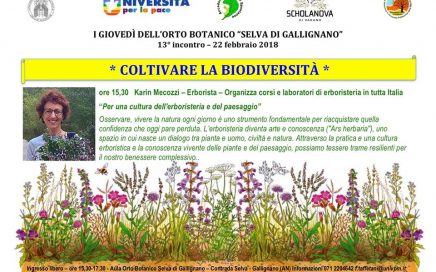 13° incontro – 22 febbraio 2018 - ore 15,30 Karin Mecozzi – Erborista – Organizza corsi e laboratori di erboristeria in tutta Italia “Per una cultura dell'erboristeria e del paesaggio”
