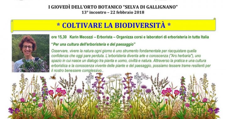 13° incontro – 22 febbraio 2018 - ore 15,30  Karin Mecozzi – Erborista – Organizza corsi e laboratori di erboristeria in tutta Italia “Per una cultura dell'erboristeria e del paesaggio” 