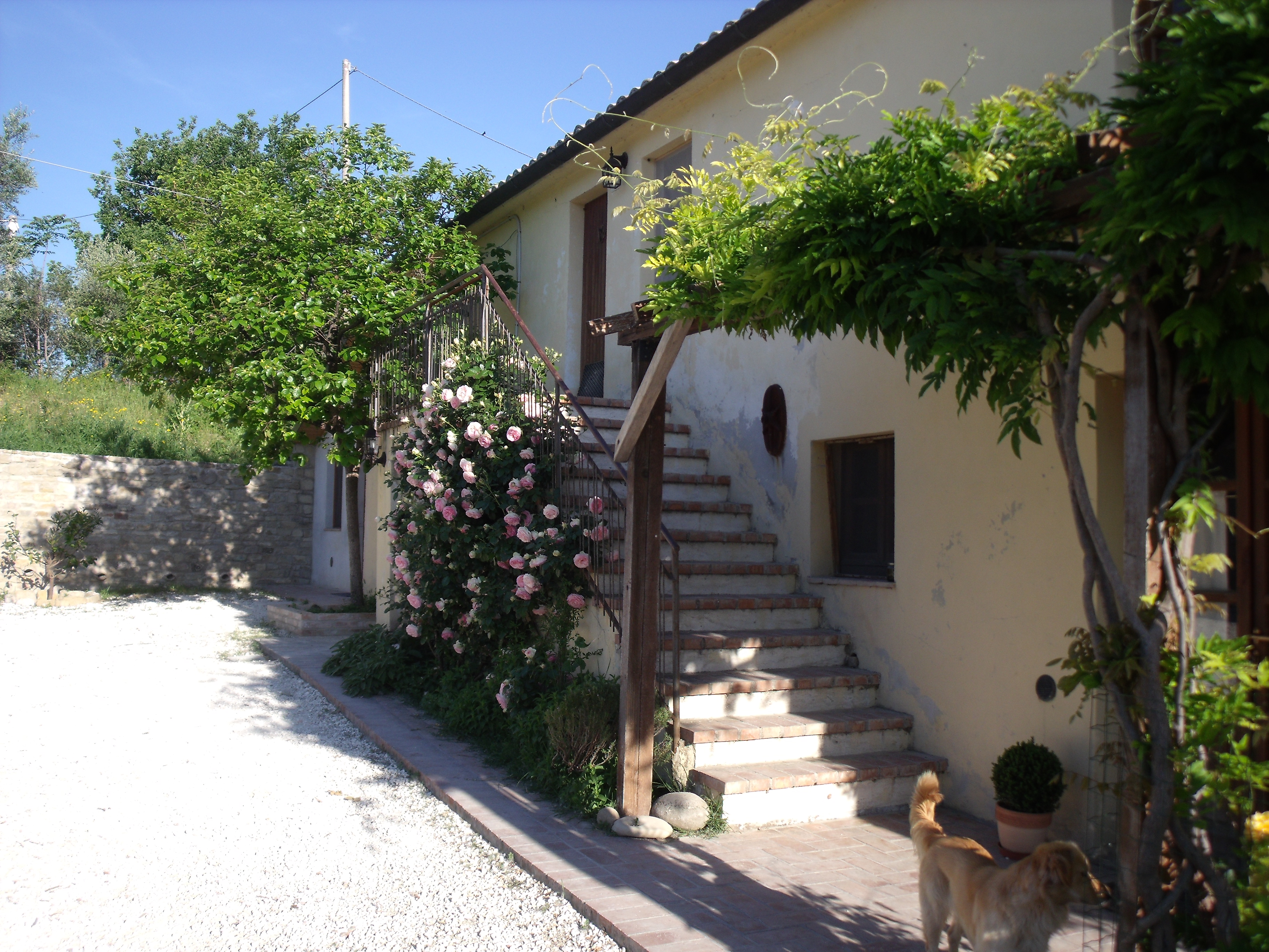 Azienda agricola Biologica Forno della Cèsola