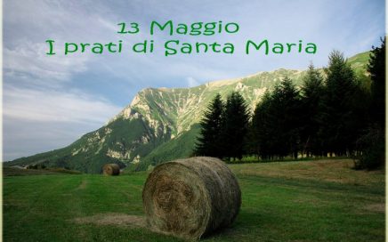 Altino Di Montemonaco