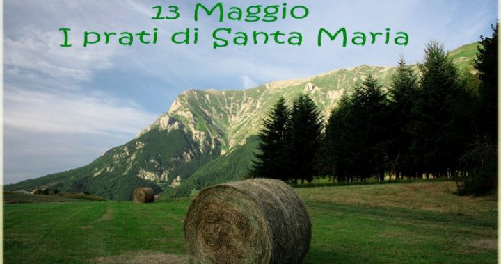 Altino Di Montemonaco