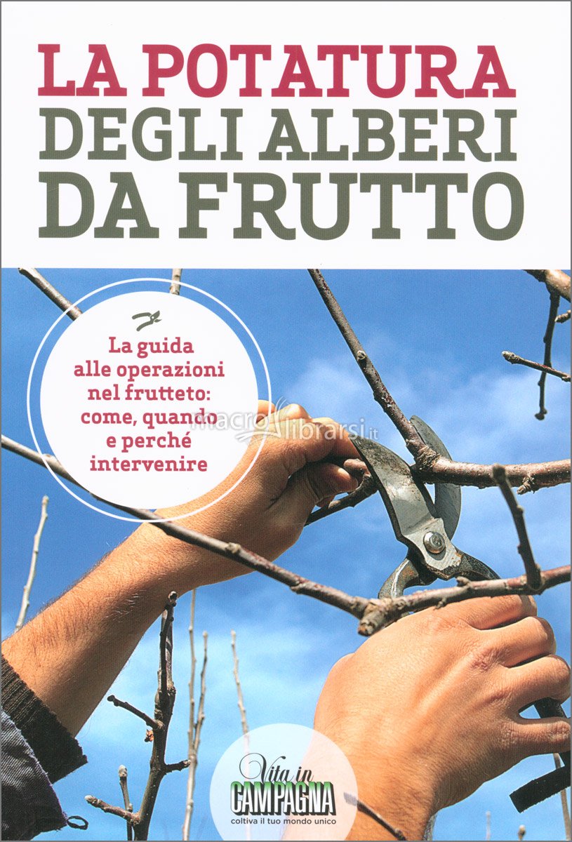 potatura alberi