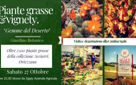 plant tour