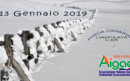 ciaspolata