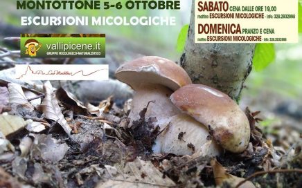 escursioni micologiche