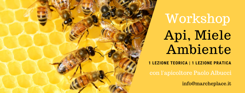 apicoltura