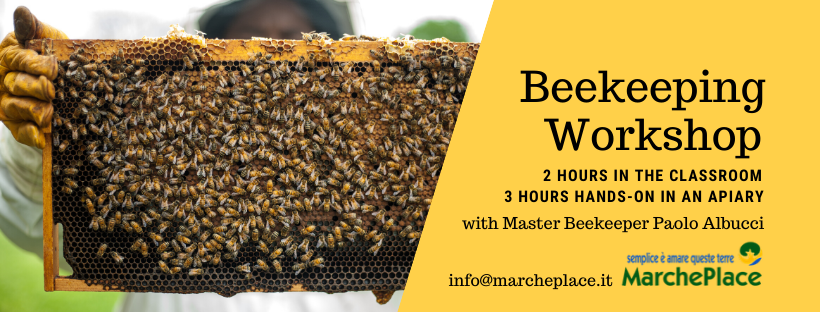 beekeeping workshop