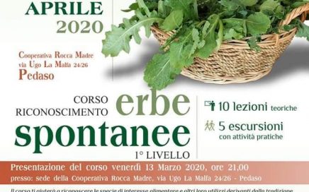 Corso erbe spontanee