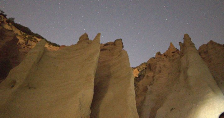 Lame Rosse