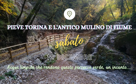 pieve torina