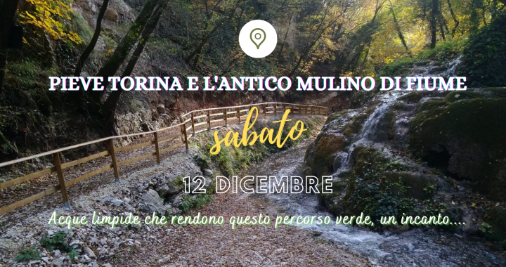 pieve torina