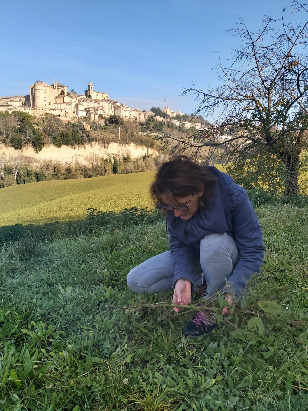 foraging