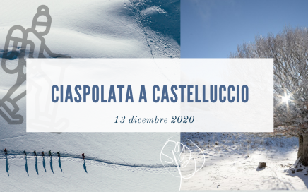 ciapolata