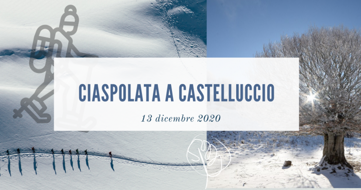 ciapolata