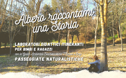 albero raccontami una storia