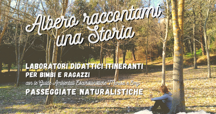 albero raccontami una storia