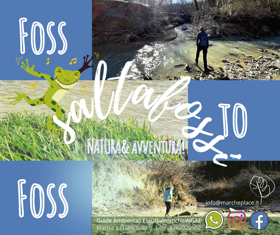 foss to foss