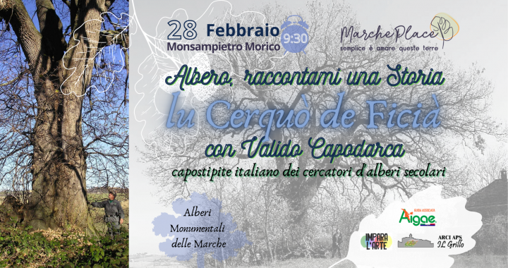 quercia monumentale Marche