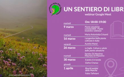 un sentiero di libri