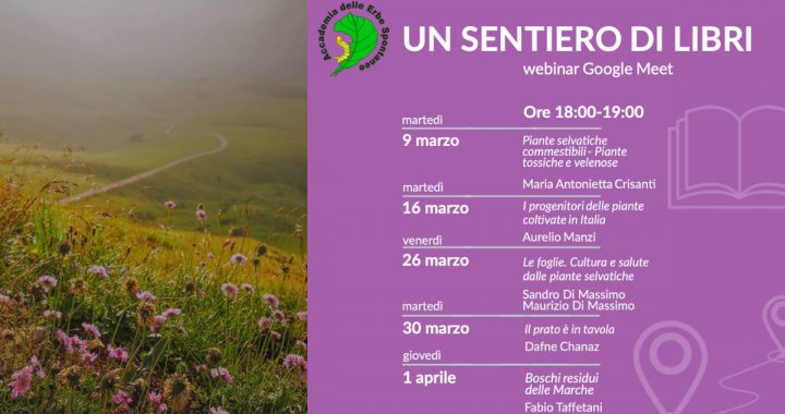 un sentiero di libri