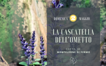 cascatella dell?Ometto