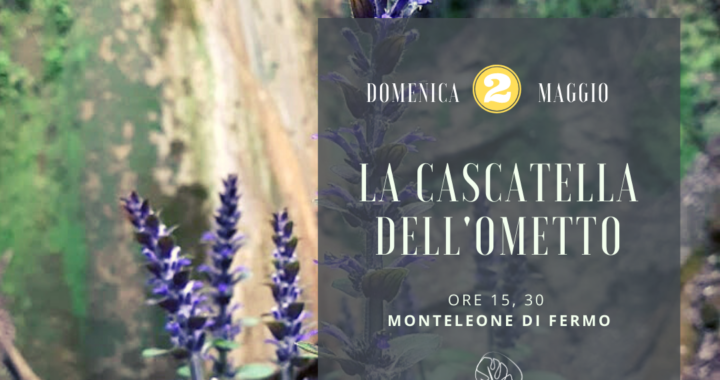 cascatella dell?Ometto