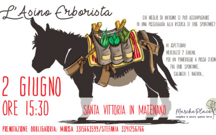 ppasseggita a passo d'asino