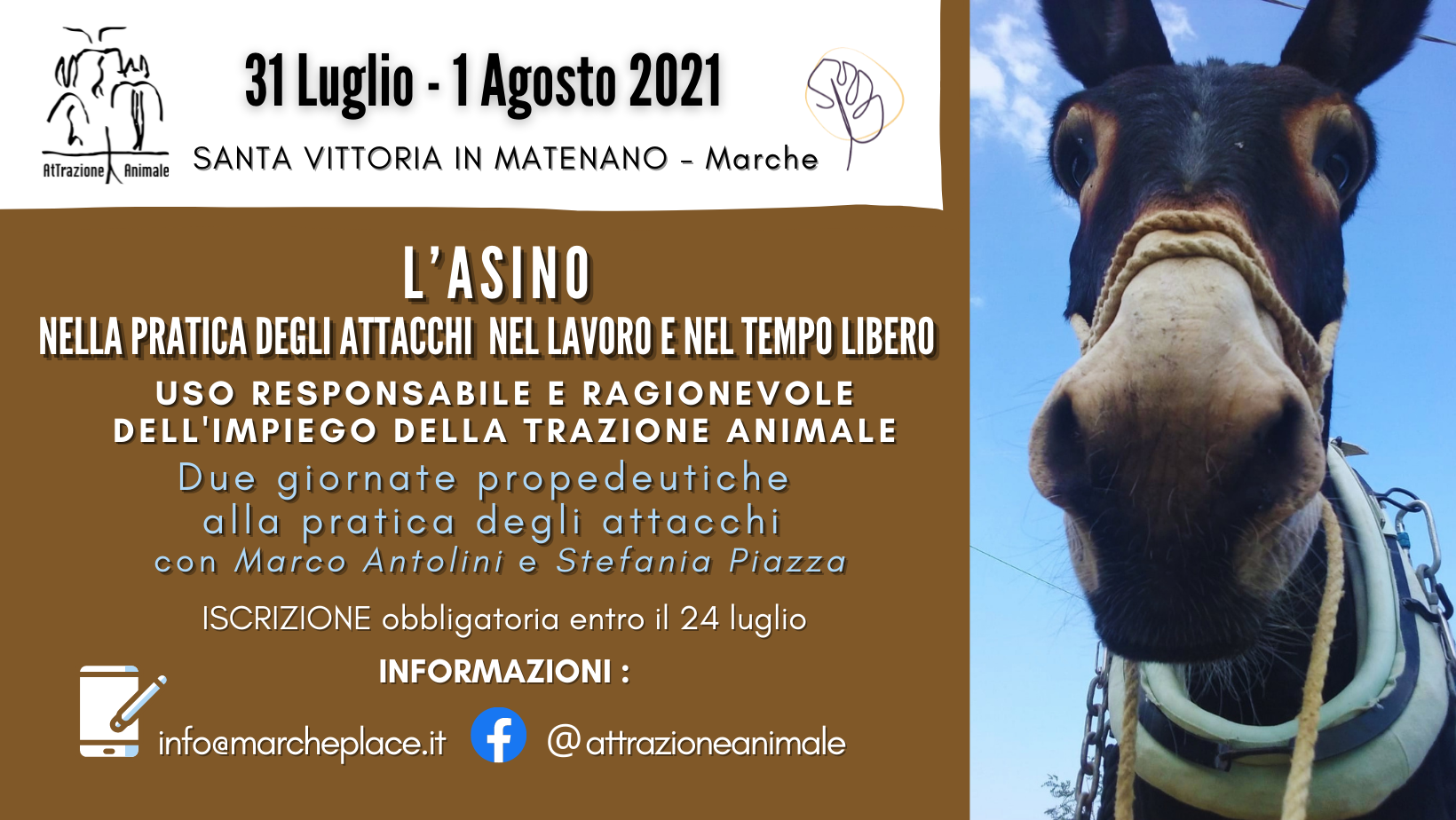 L’ASINO NELLA PRATICA DEGLI ATTACCHI NEL LAVORO E NEL TEMPO LIBERO Uso responsabile e ragionevole dell’impiego della trazione animale