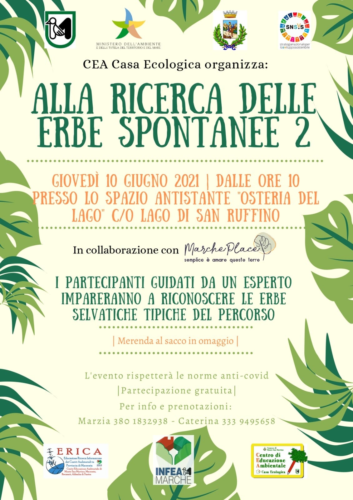 casa ecologica