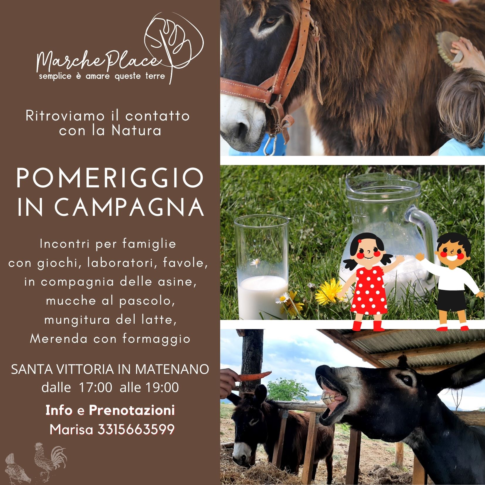 asini, campagna