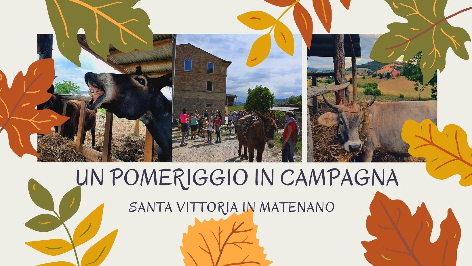 campagna