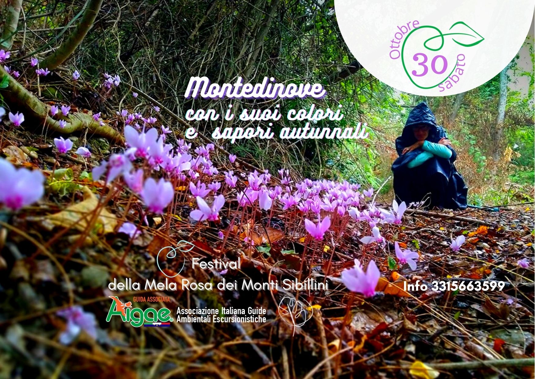 Montedinove e festa della mela rosa dei sibillini