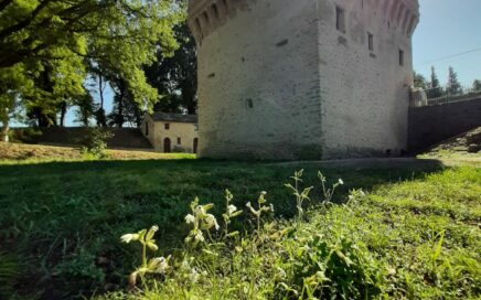 Mulino di Sisto V