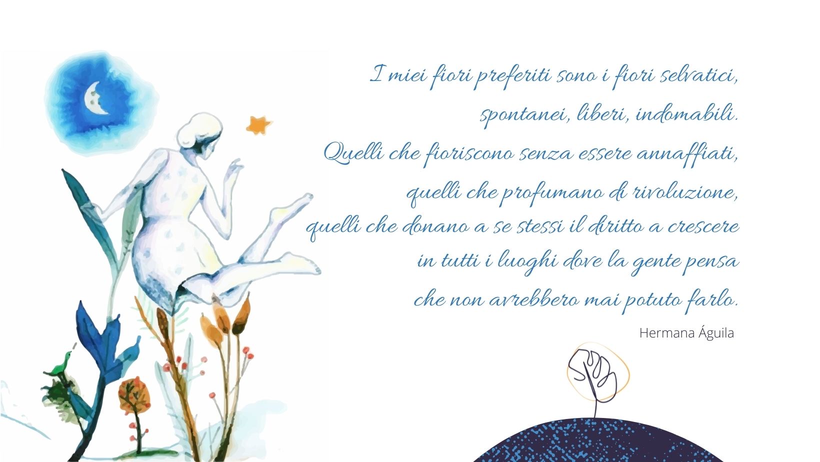 fiori selvatici