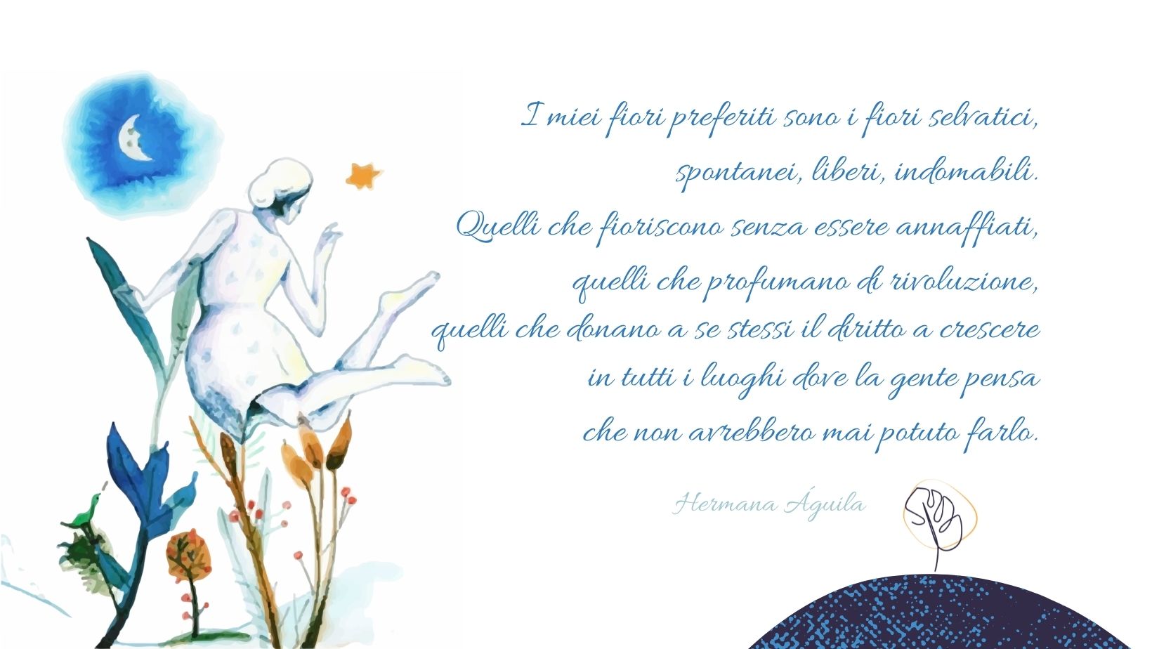 fiori selvatici