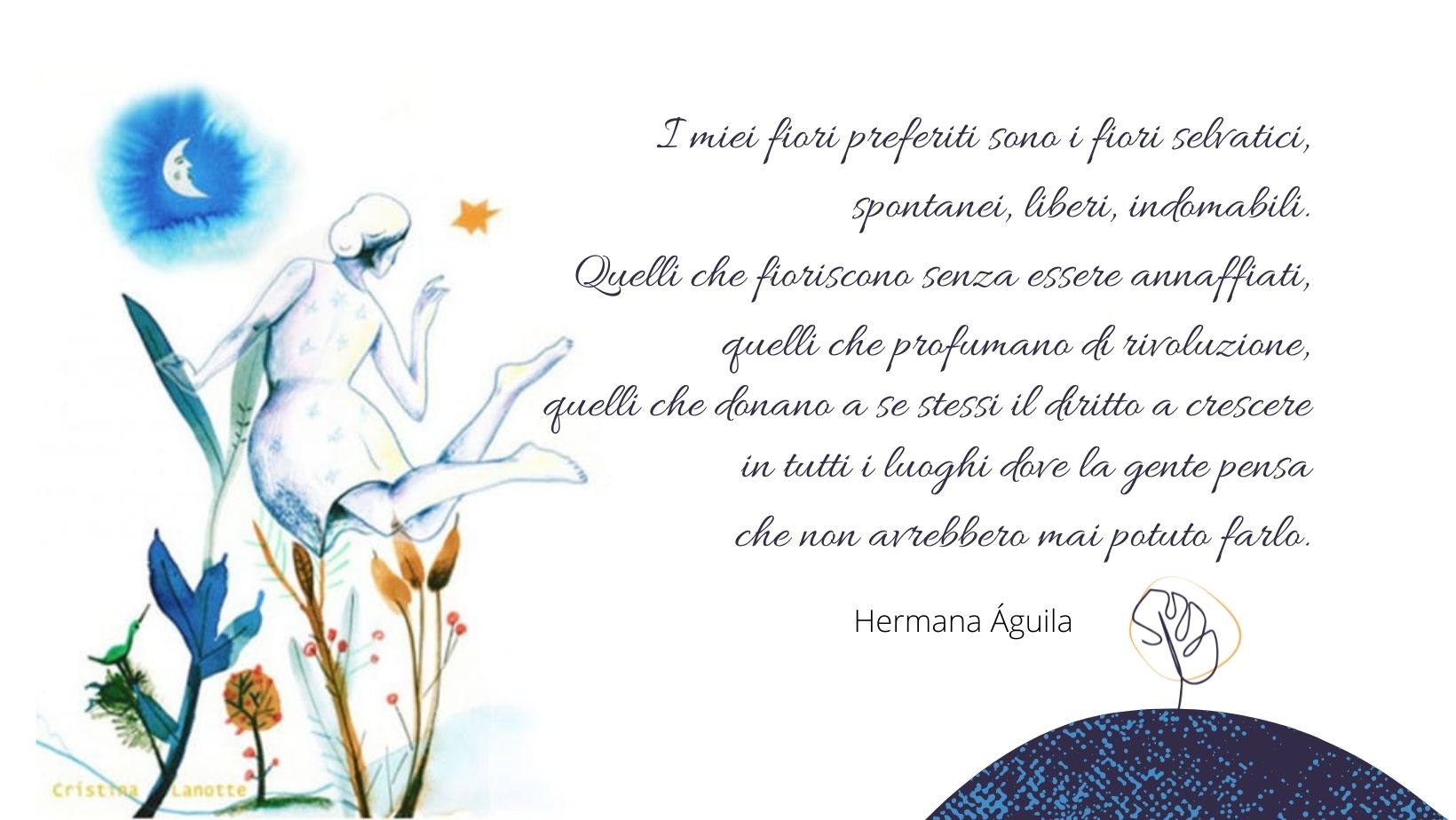 erbe selvatiche