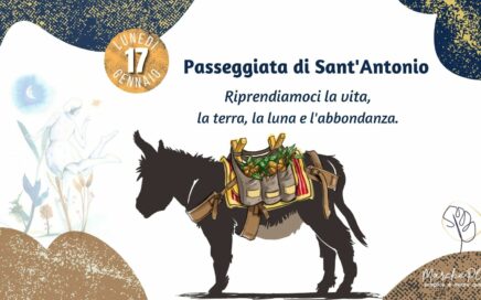 Festeggiamenti di Sant'Antonio abate