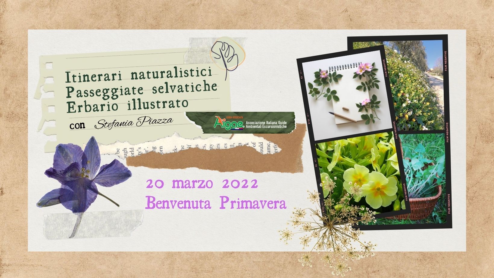 erbario illustrato