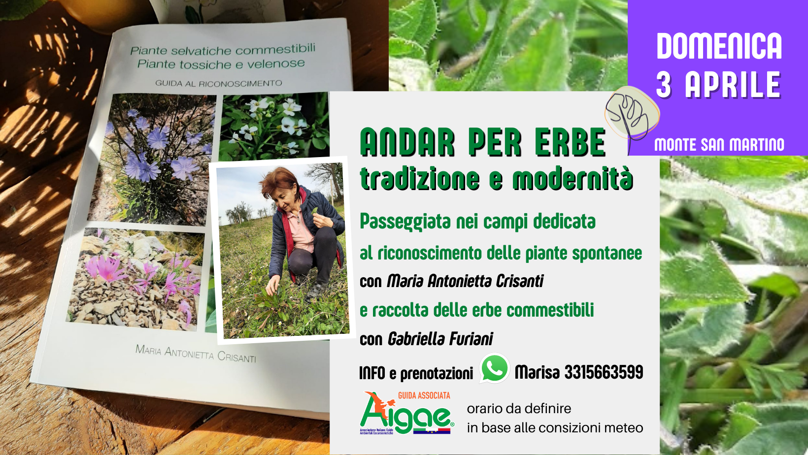 foraging a Monte San Martino