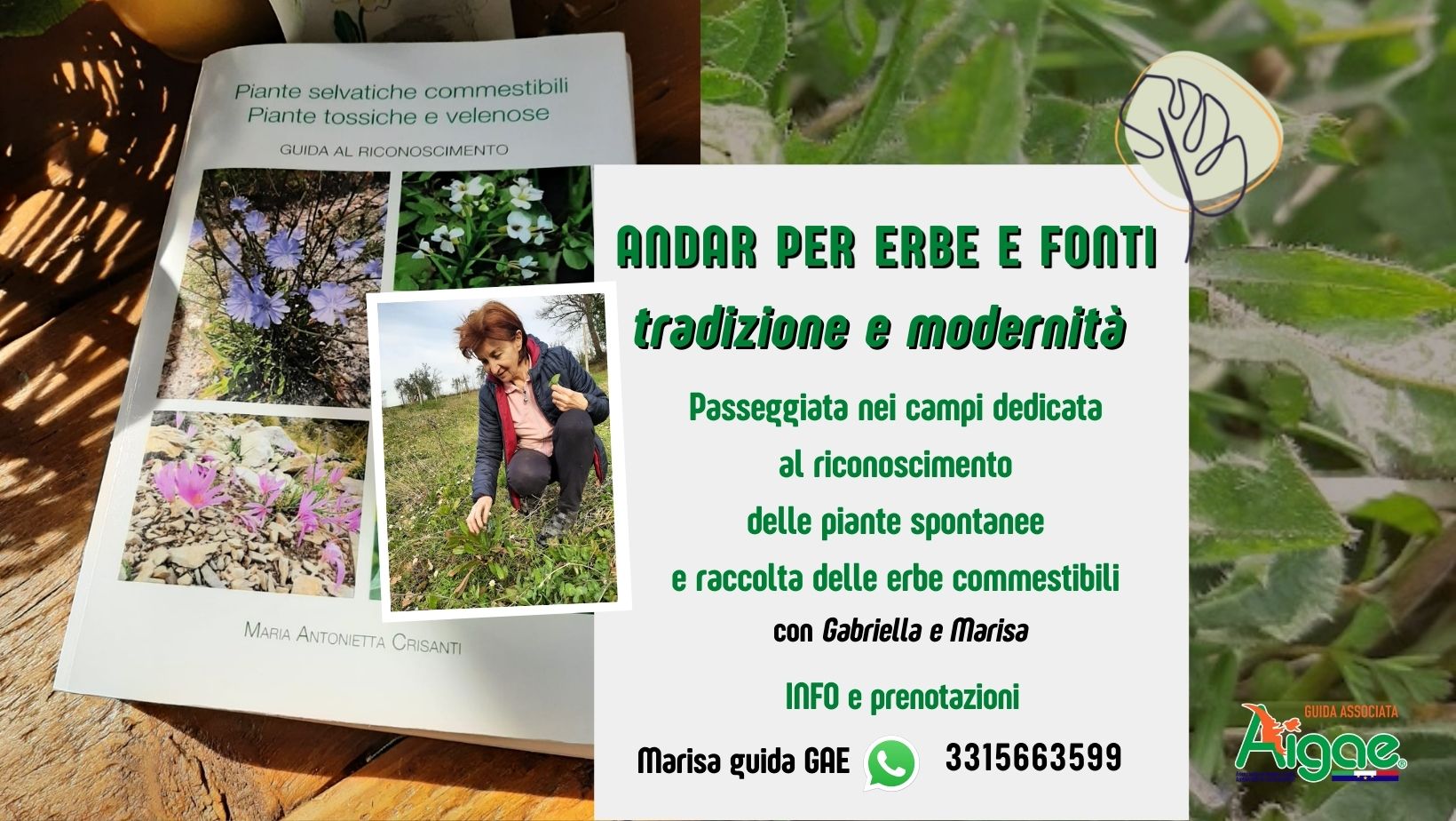 foraging erbe
