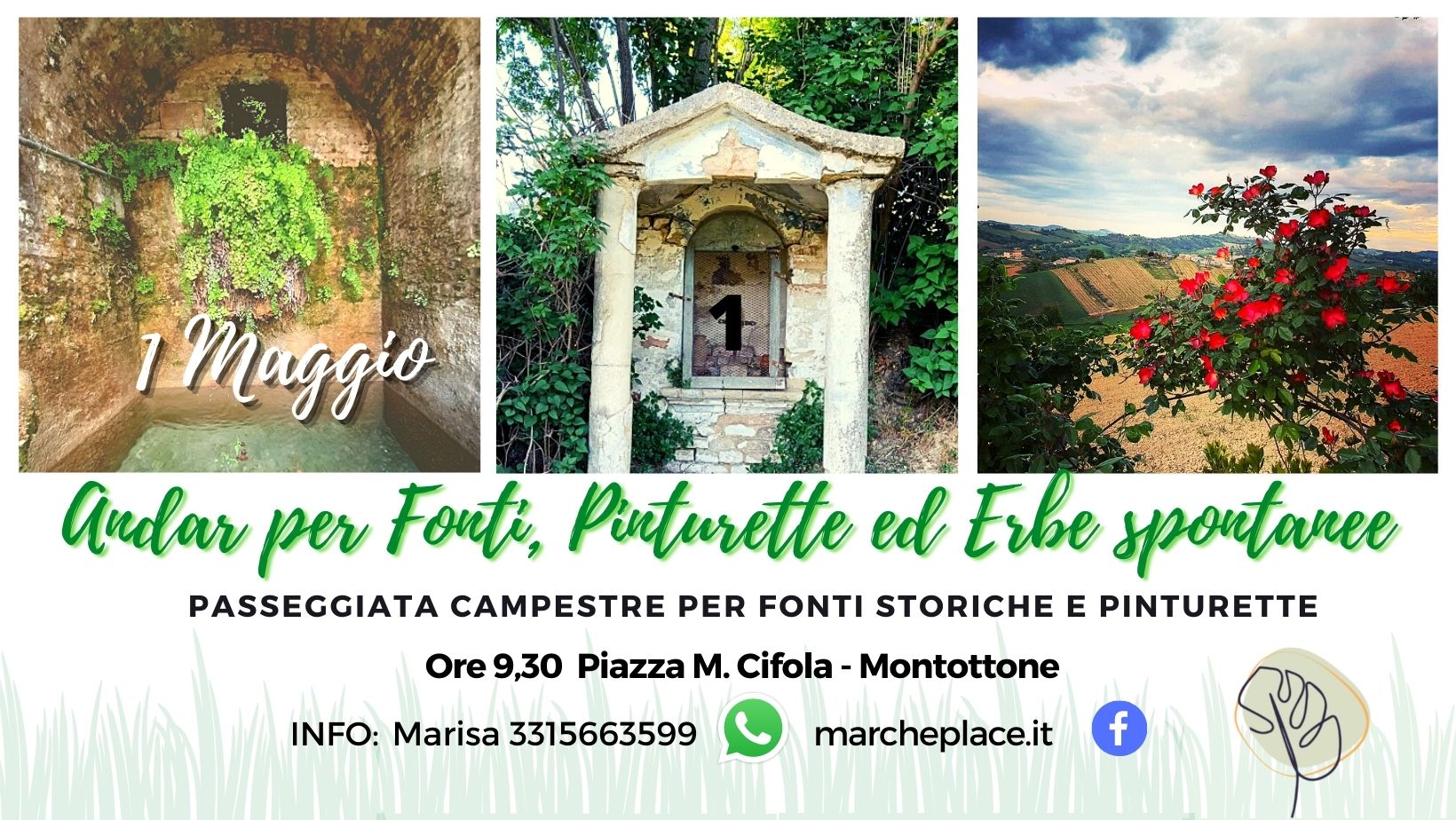 maggio