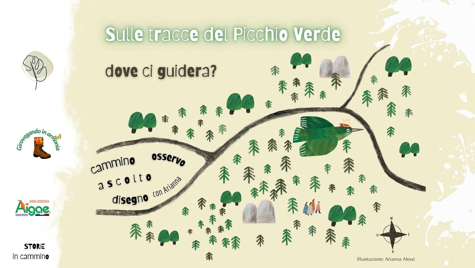 sulle tracce del Picchio verde