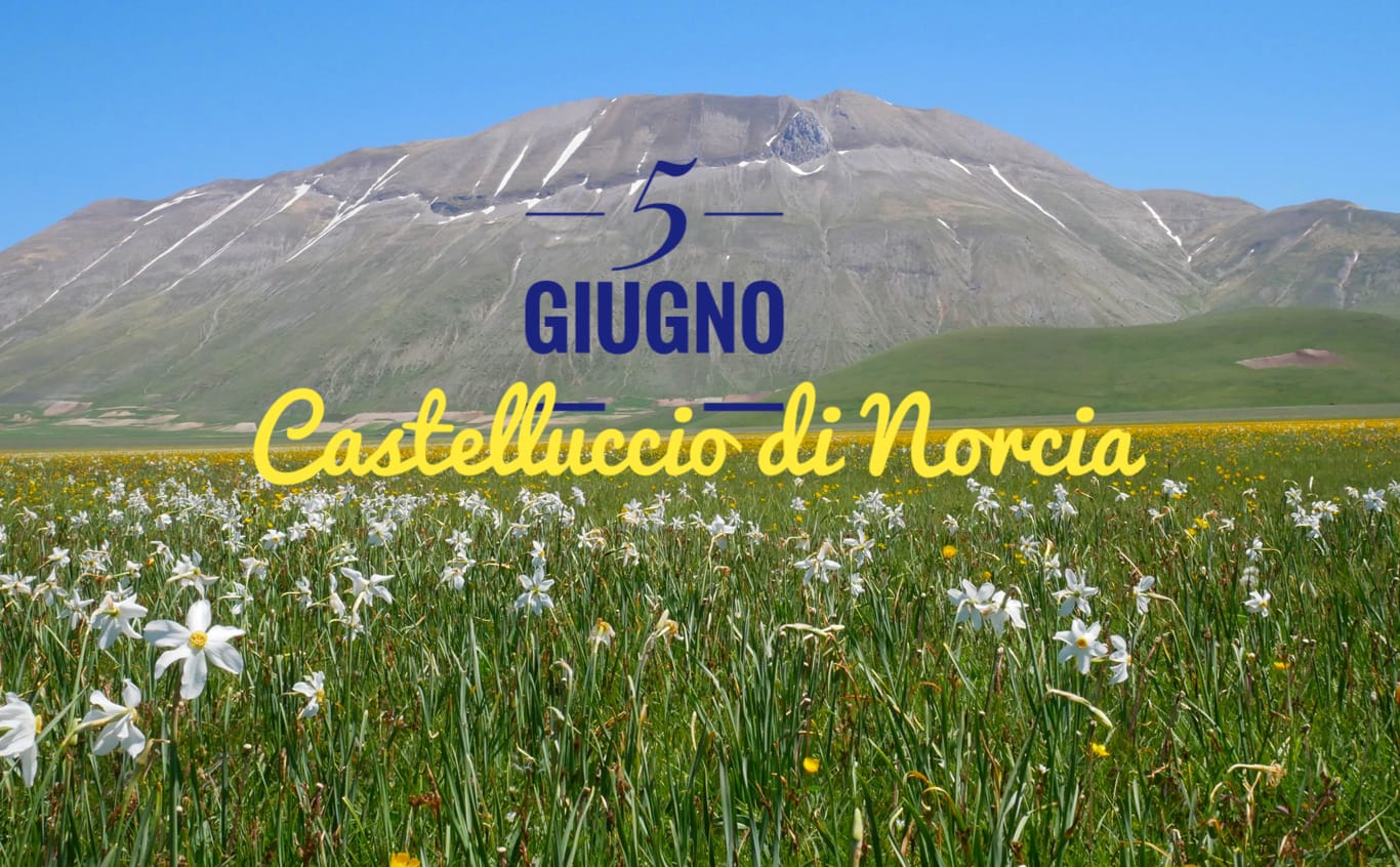 Castelluccio fioritura