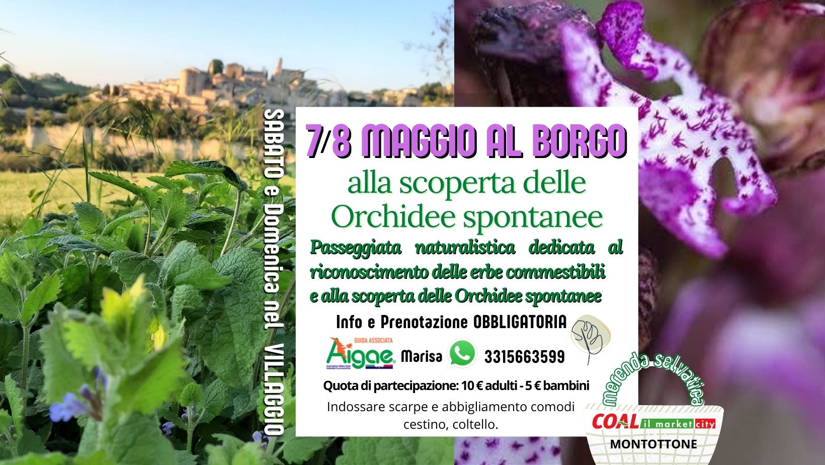 orchidee di maggio