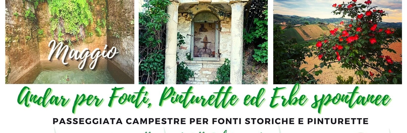 pinturette